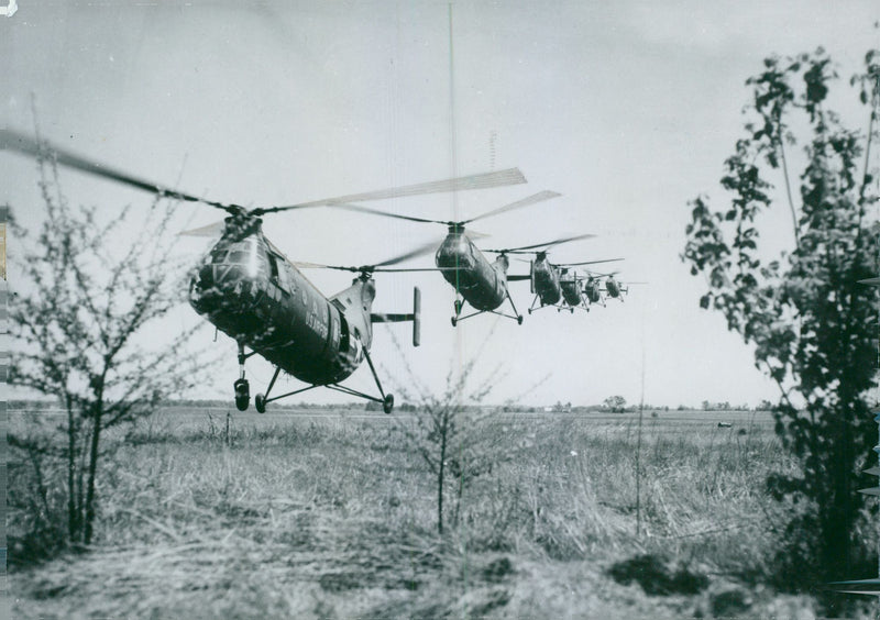 Swedish Military Army helicopters - Vintage Photograph
