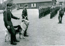 Swedish Military parachute troops - Vintage Photograph