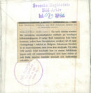 Swedish Military parachute troops - Vintage Photograph