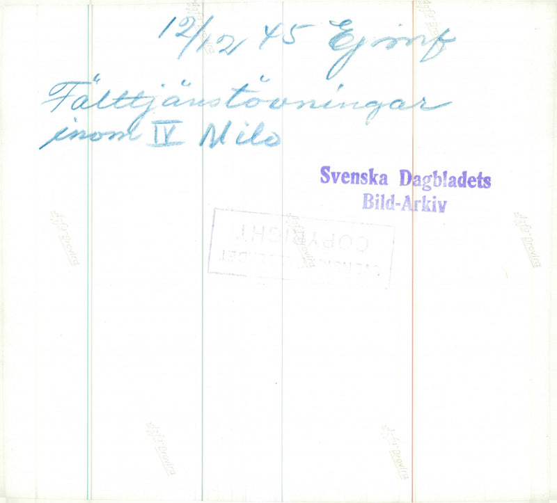 IV MILO - Vintage Photograph