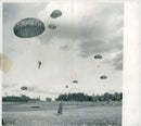 Swedish Military parachute troops - Vintage Photograph