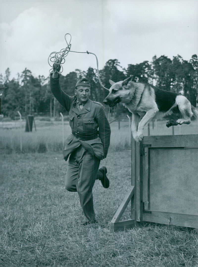 Field Police Academy. Overman Johansson controls the SchÃ¤fer Jack's barrier test. - Vintage Photograph