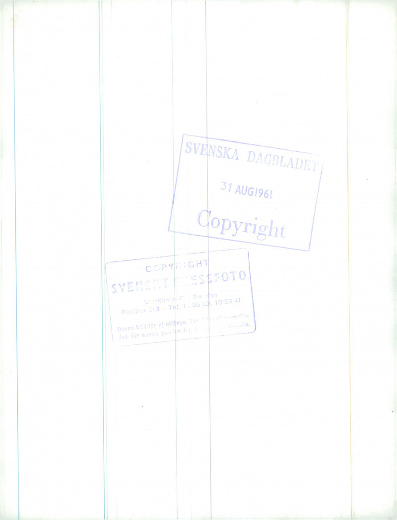 The Swedish Military army Hunting section - Vintage Photograph