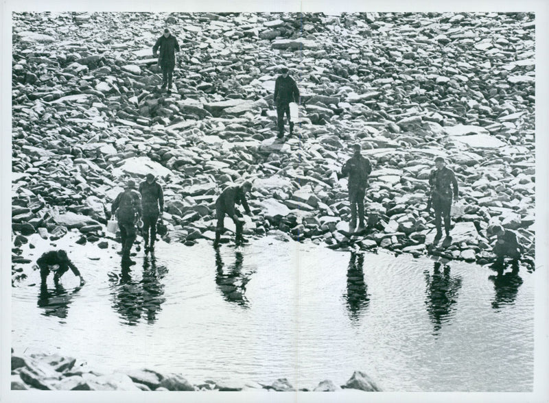 The Swedish Military army Hunting section - Vintage Photograph