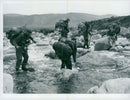 The Swedish Military army Hunting section - Vintage Photograph