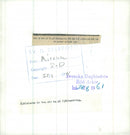 The Swedish Military army Hunting section - Vintage Photograph