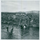 The Swedish Military army Hunting section - Vintage Photograph