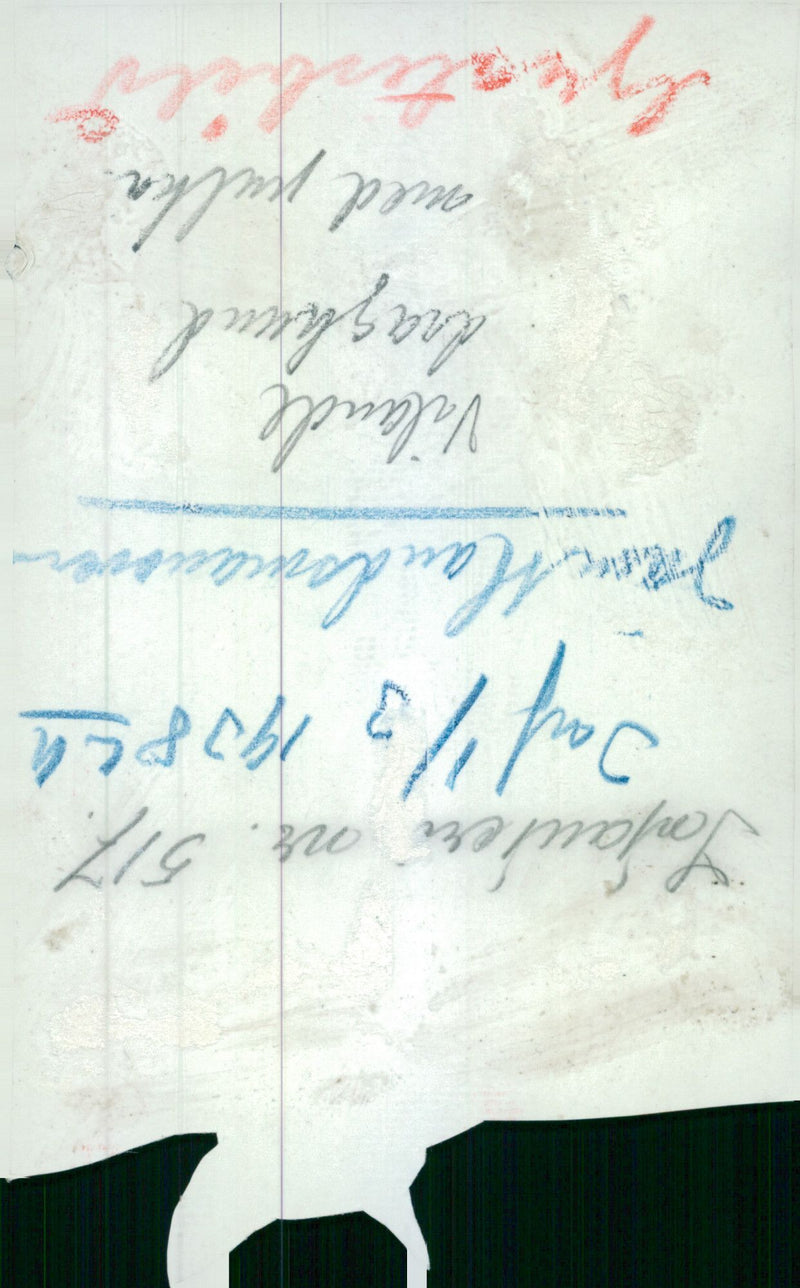 Jamtland maneuver. Resting dragon dog with a pulka. - 1 March 1938 - Vintage Photograph