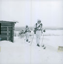 The Swedish Military army Hunting section - Vintage Photograph