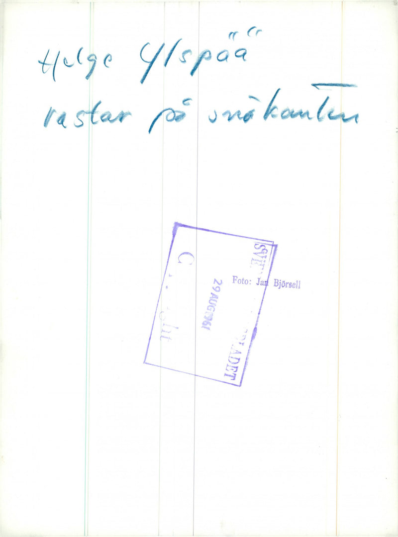 The Swedish Military army Hunting section - Vintage Photograph