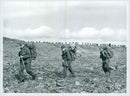The Swedish Military army Hunting section - Vintage Photograph