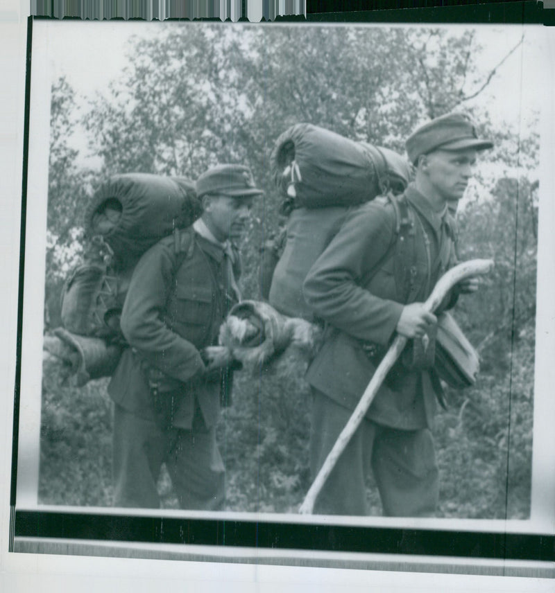 Swedish Military Field Manuevers 1950-1951 - Vintage Photograph