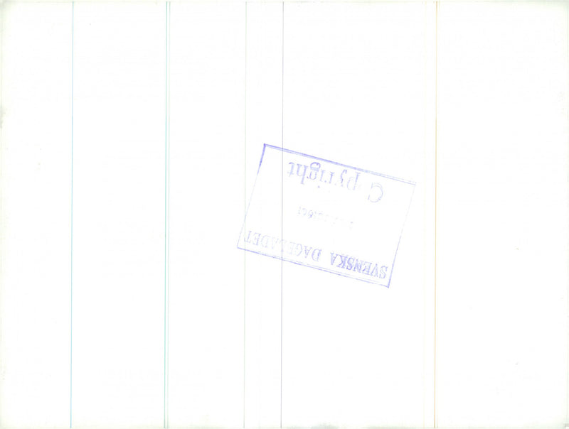 The Swedish Military army Hunting section - Vintage Photograph