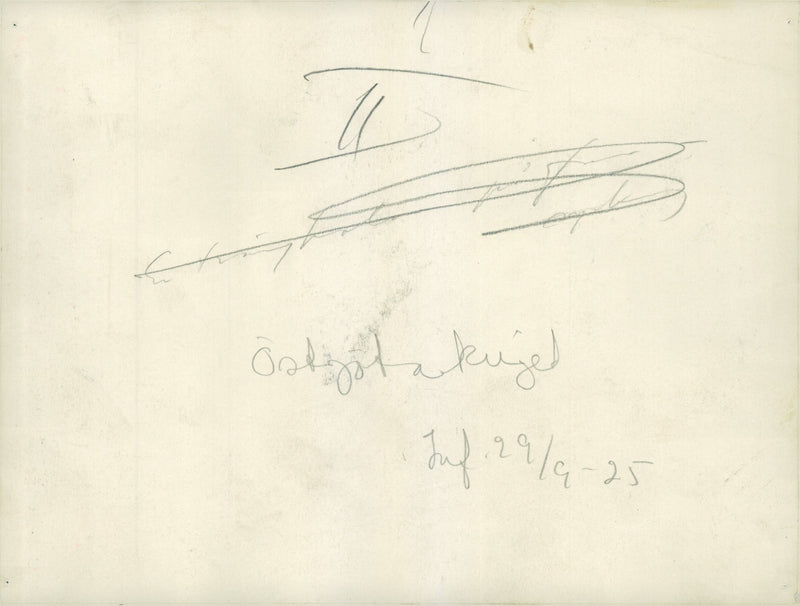 ÃstgÃ¶ta War - Vintage Photograph