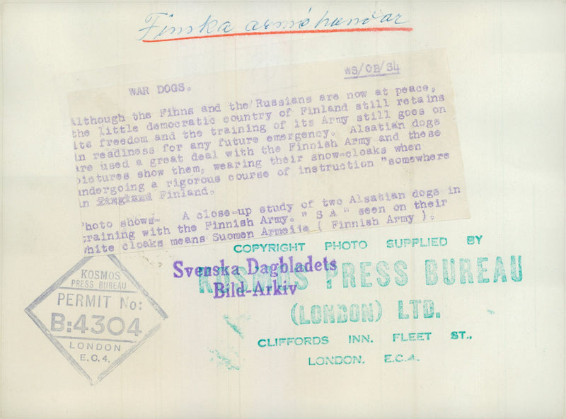 Swedish Military Army Dogs - Vintage Photograph