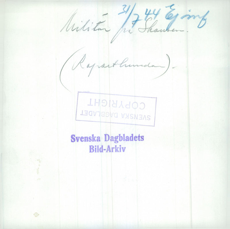 Swedish Military Army Dogs - Vintage Photograph