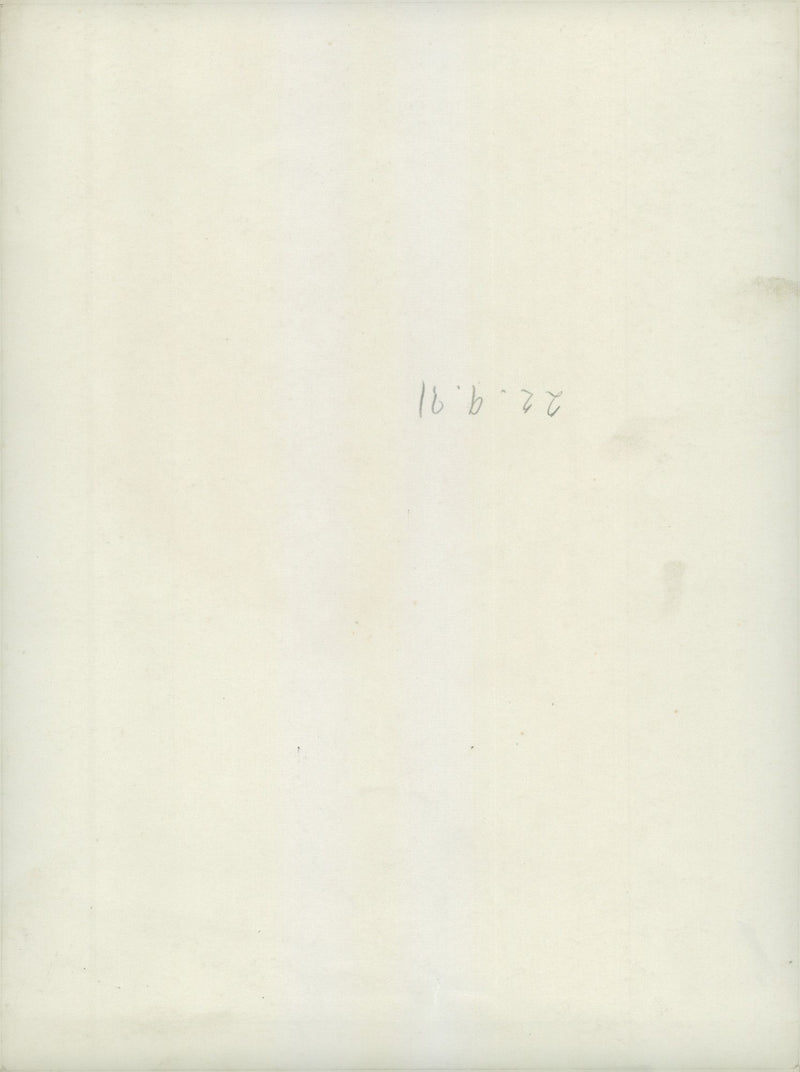 Higher officers during field operation. - Vintage Photograph