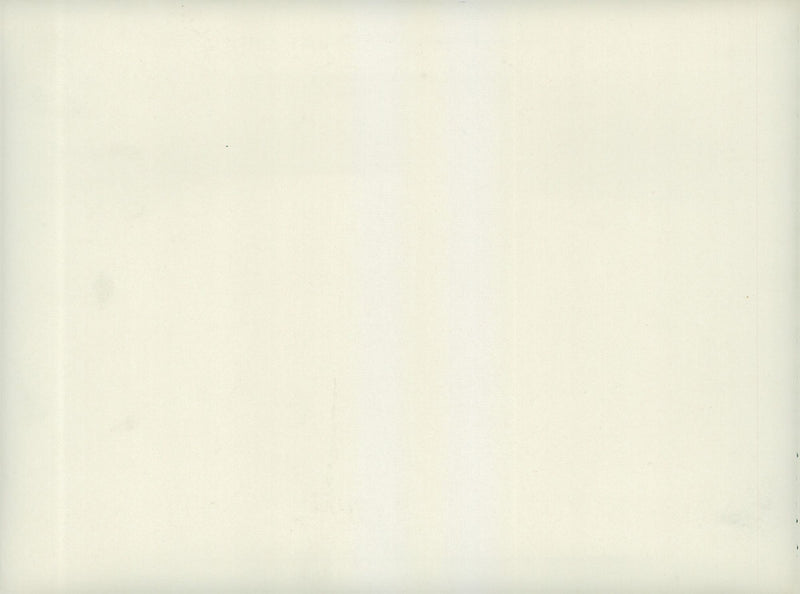 Field maneuvers 1926-1928 - Vintage Photograph