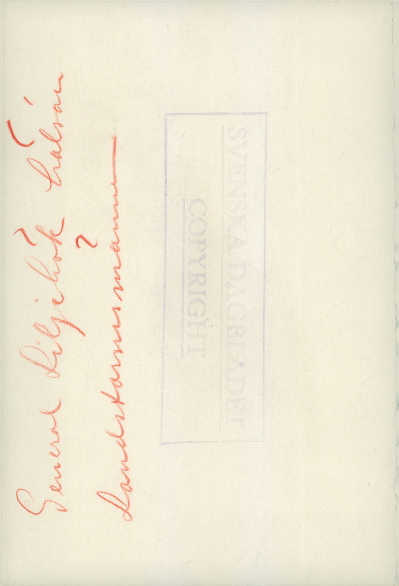 General Liljihok greet Landsturm men. - Vintage Photograph