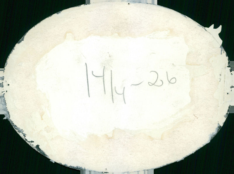 Field maneuvers 1926-1928 - Vintage Photograph