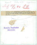 Swedish Military Landsturm Youth 1941 - Vintage Photograph