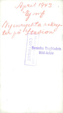 Swedish Military and Army 1941-1943 - Vintage Photograph