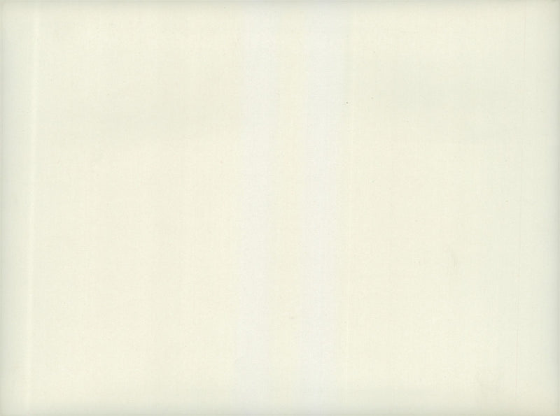 Field maneuvers 1926-1928 - Vintage Photograph