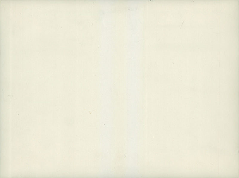 Field maneuvers 1926-1928 - Vintage Photograph