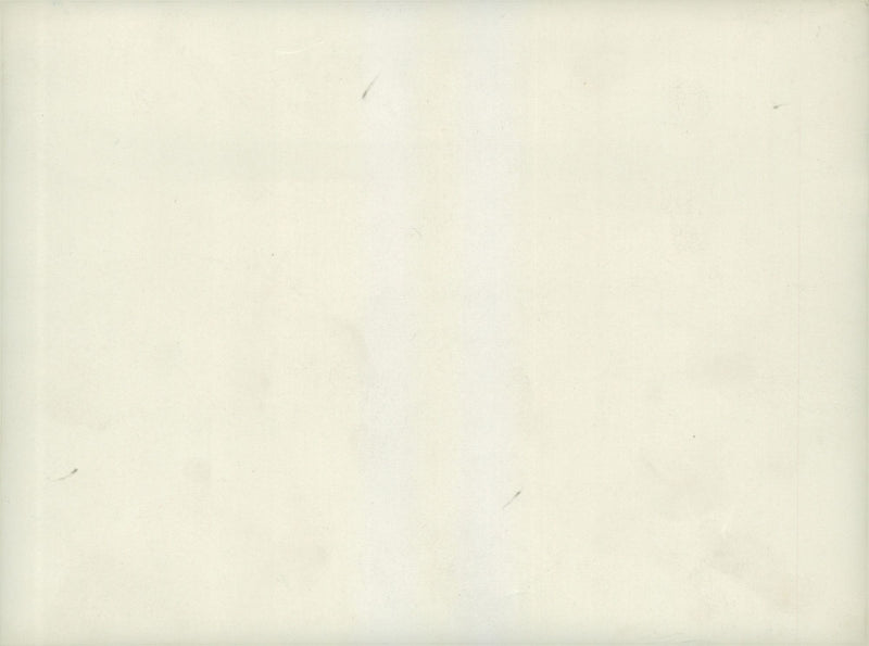 Field maneuvers 1926-1928 - Vintage Photograph