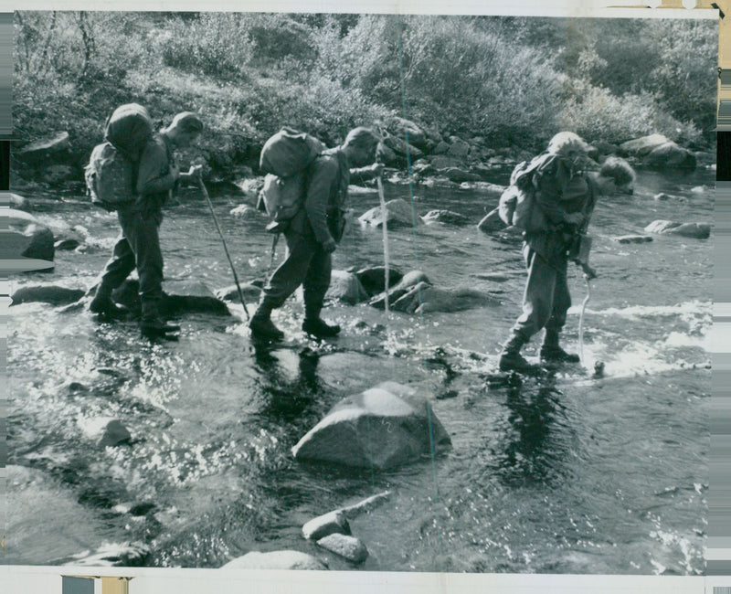 Swedish Military Field Manuevers 1950-1951 - Vintage Photograph