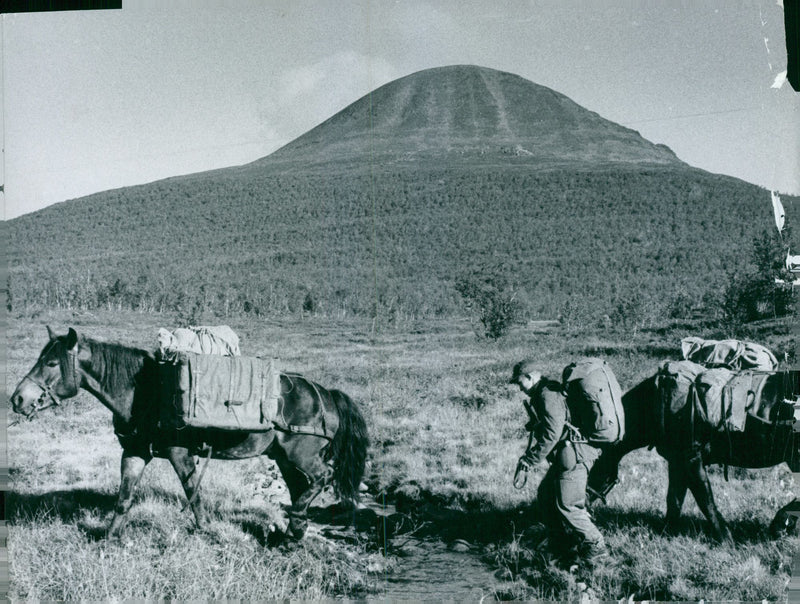 The Swedish Military army Hunting section - Vintage Photograph