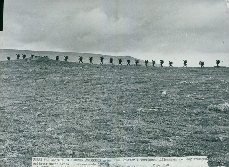 The Swedish Military army Hunting section - Vintage Photograph