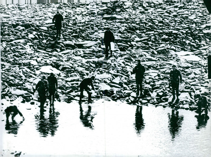 The Swedish Military army Hunting section - Vintage Photograph