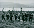 The Swedish Military army Hunting section - Vintage Photograph