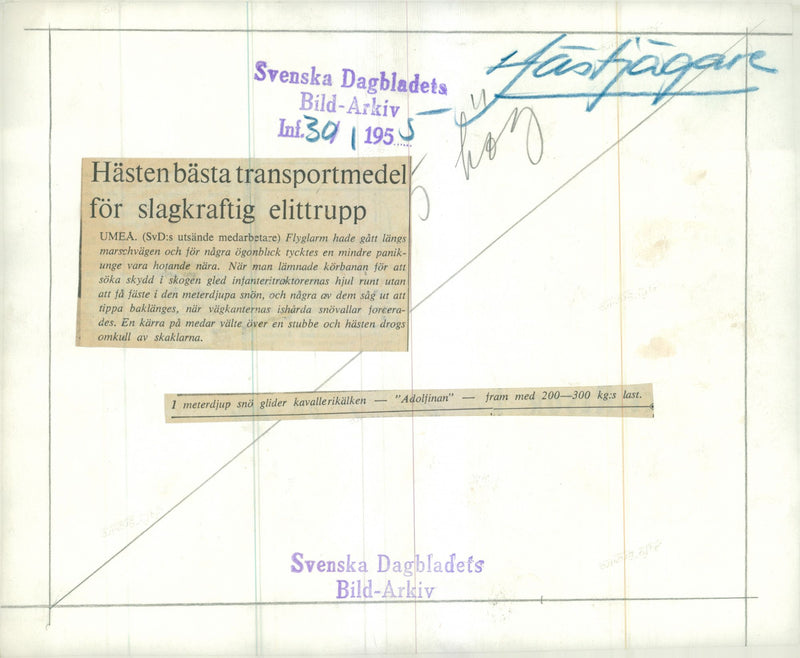 The Swedish Military army Hunting section - Vintage Photograph