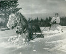 The Swedish Military army Hunting section - Vintage Photograph