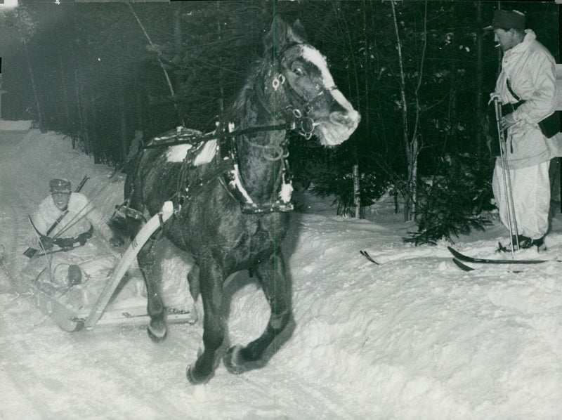 The Swedish Military army Hunting section - Vintage Photograph