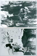 The Swedish Military army Hunting section - Vintage Photograph