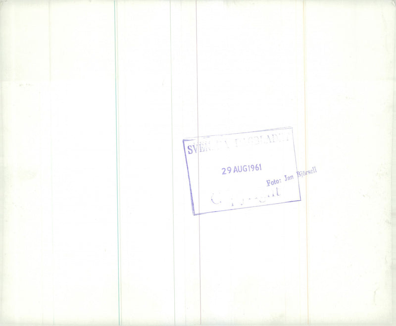 The Swedish Military army Hunting section - Vintage Photograph