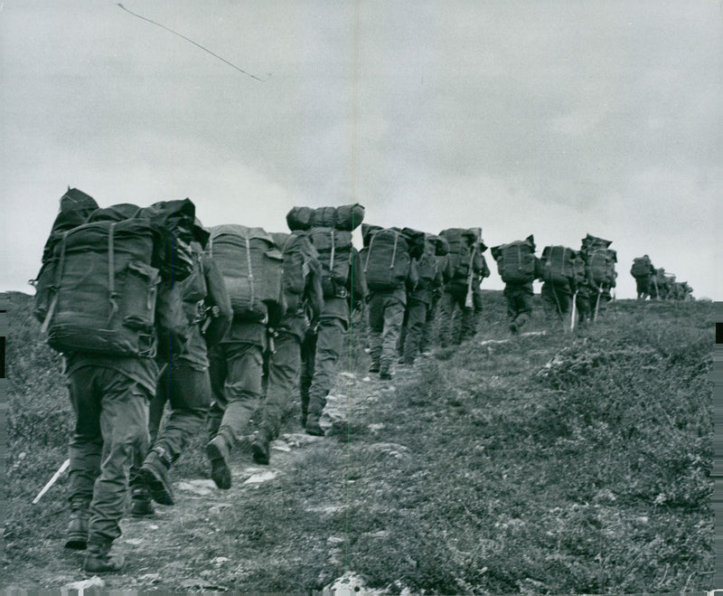 The Swedish Military army Hunting section - Vintage Photograph
