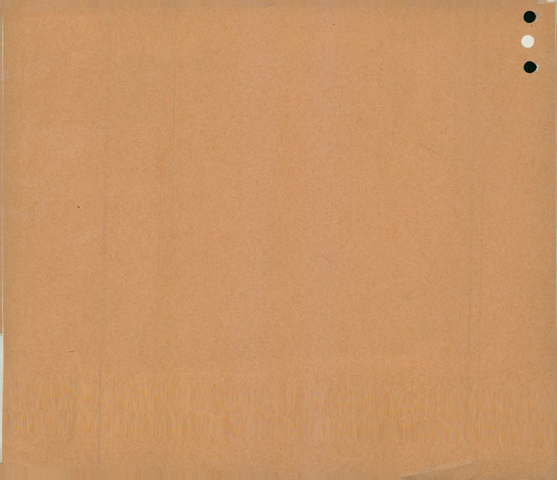 Air Protection Exercise - Vintage Photograph