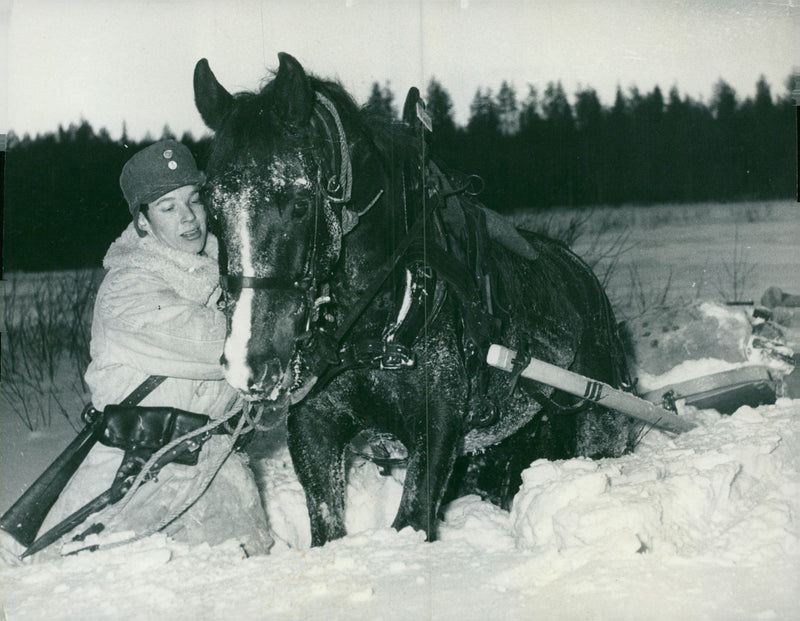 The Swedish Military army Hunting section - Vintage Photograph