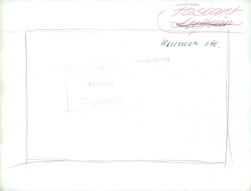 The Swedish Military - Vintage Photograph