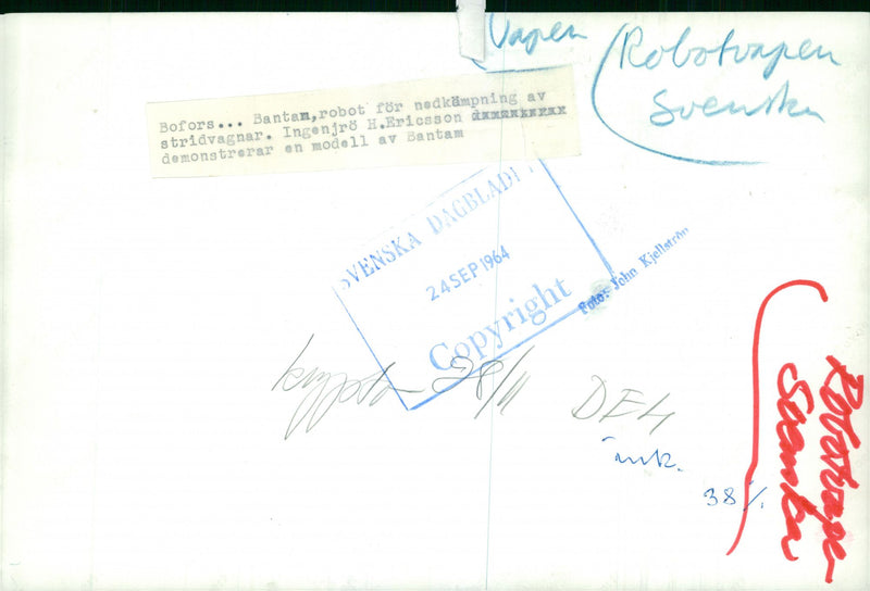 The Swedish Military - Vintage Photograph