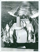 The Swedish Military - Vintage Photograph