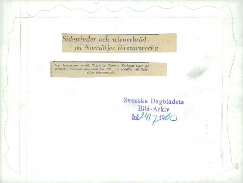 The Swedish Military - Vintage Photograph