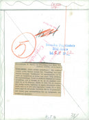 The Swedish Military - Vintage Photograph