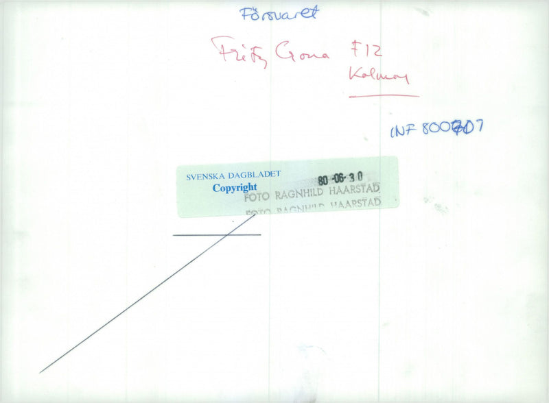 Swedish military regements - Vintage Photograph