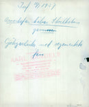 Swedish military regements - Vintage Photograph