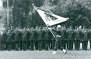 Swedish military regements - Vintage Photograph